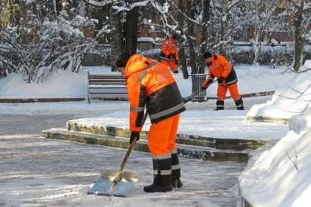 Reliable landscaping services for year-round maintenance in Eagan, MN by Twin Cities Landscaping Services