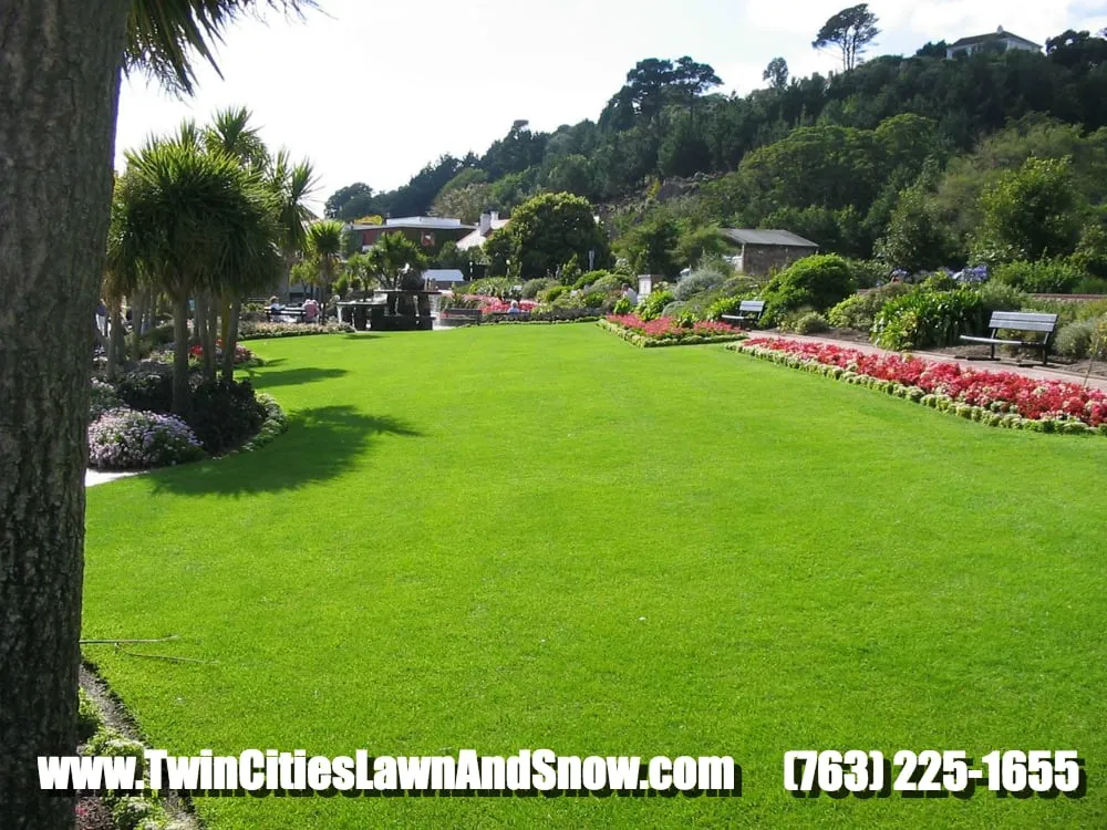 Trusted landscape installation for beautiful yards across Minneapolis, MN - Twin Cities Lawn and Snow