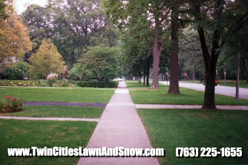 Local landscape design for year-round maintenance in Minneapolis, MN by Twin Cities Lawn and Snow