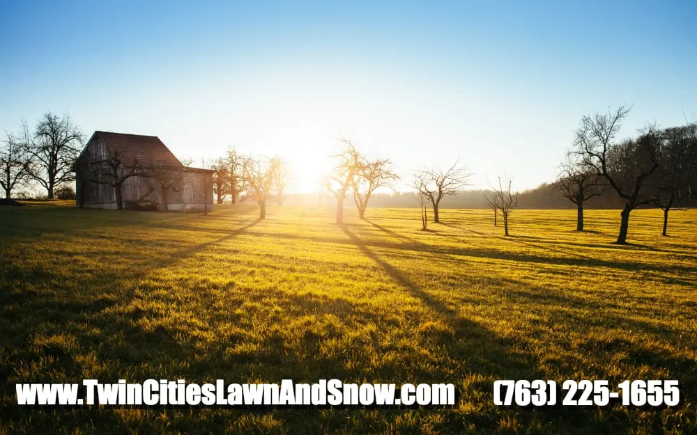 Trusted yard maintenance with custom design across Minneapolis, MN - Twin Cities Lawn and Snow