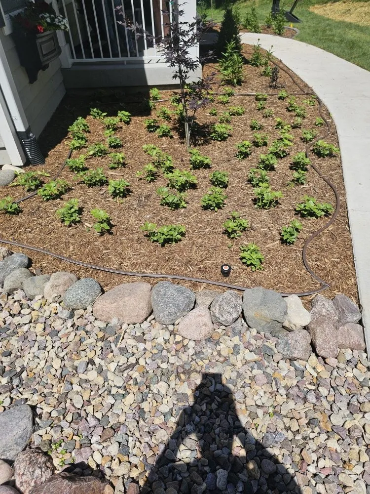 Trusted landscape installation for beautiful yards across North St Paul, MN - Twin Cities Lawn Solution
