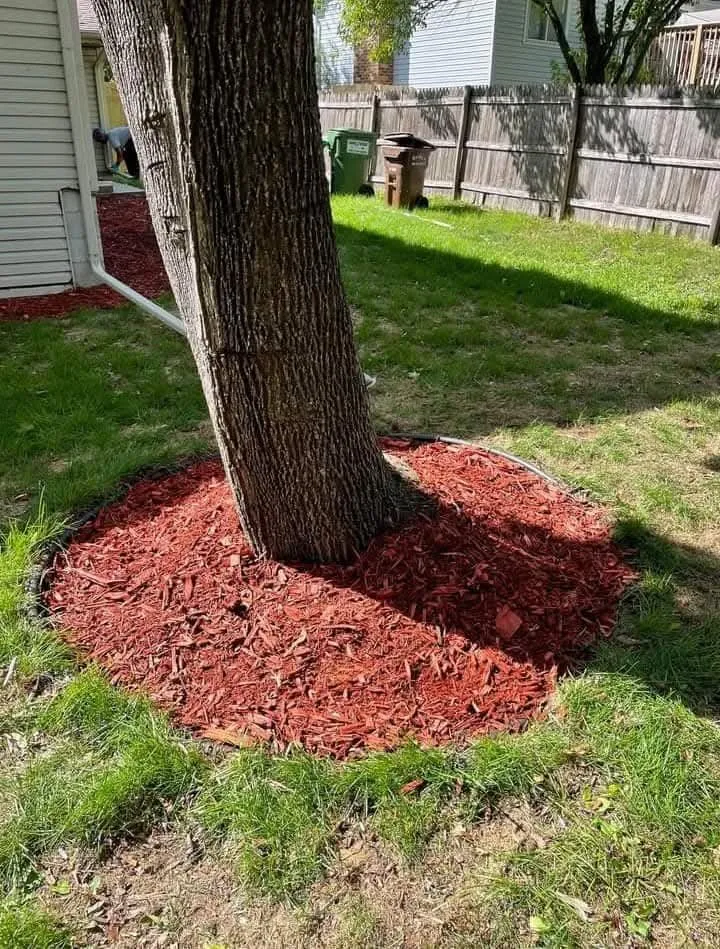 Custom garden landscaping in South Saint Paul, MN - Twin Cities Sod