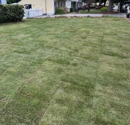 Custom yard cleanup service in South Saint Paul, MN - Twin Cities Sod