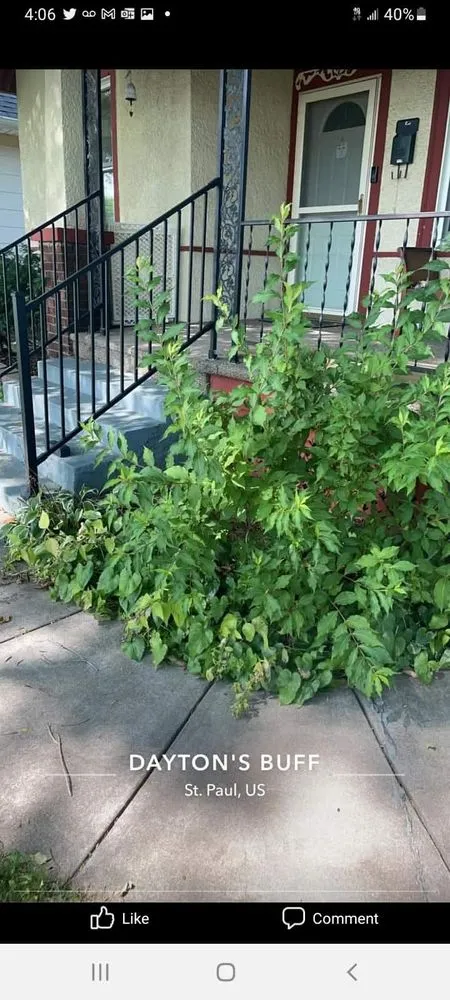 Expert lawn mowing service in South Saint Paul, MN by Twin Cities Sod