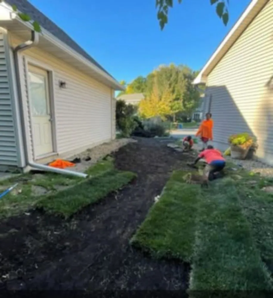 Affordable lawn care service in South Saint Paul, MN - Twin Cities Sod