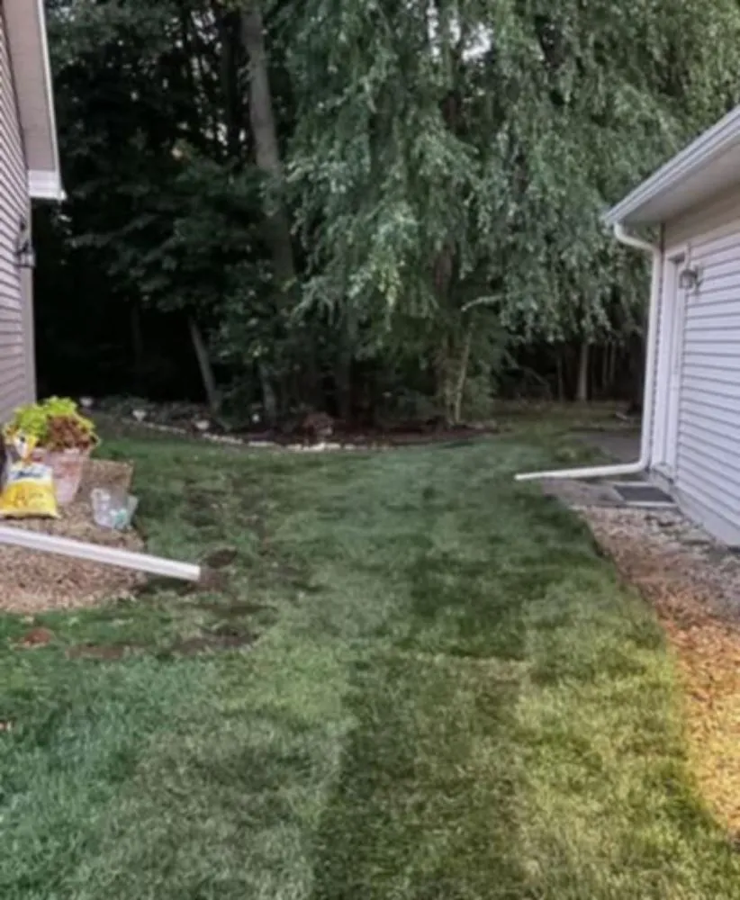 Top-rated yard cleanup service for residential properties in South Saint Paul, MN by Twin Cities Sod