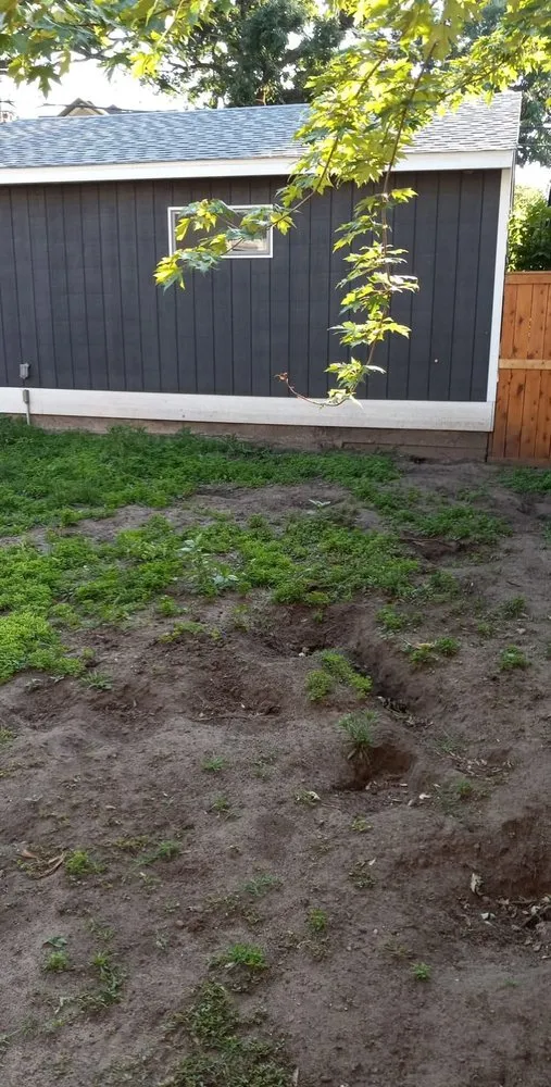 Trusted lawn mowing service experts serving South Saint Paul, MN - Twin Cities Sod