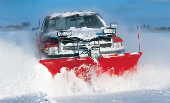 Trusted outdoor landscaping experts serving Anoka, MN - Twin Cities Turf Professionals