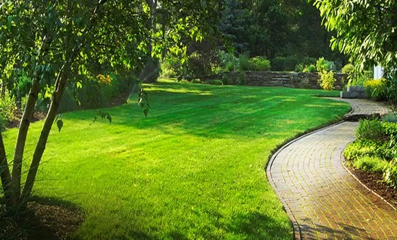Affordable landscape design for outdoor upgrades in Anoka, MN by Twin Cities Turf Professionals
