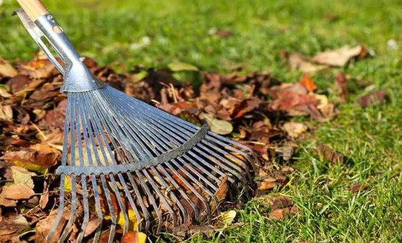 Twin Cities Turf Professionals Logo