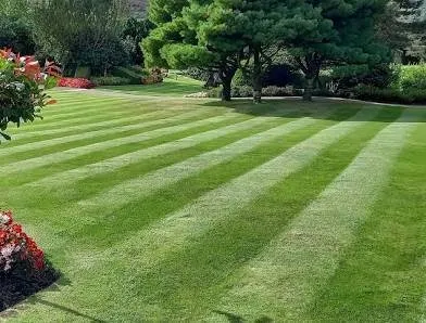 Trusted garden landscaping for homes across Winston-Salem, NC - Twin City Landscaping