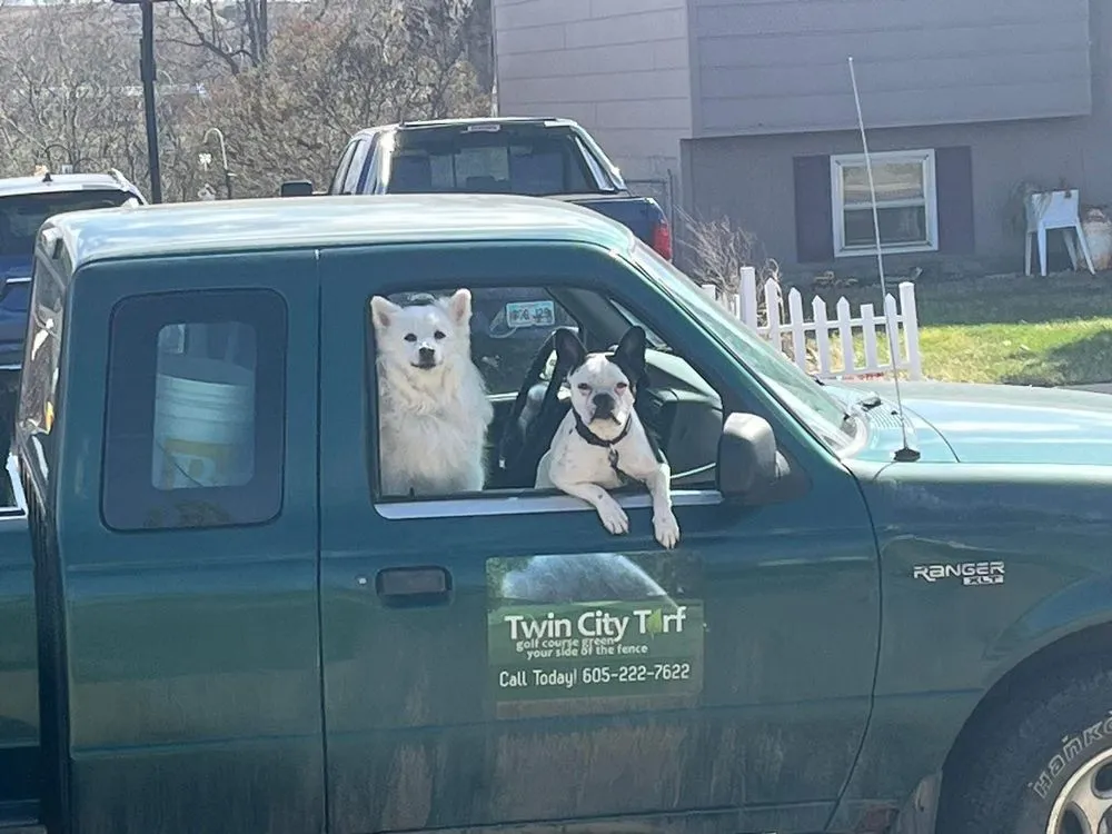 Affordable garden landscaping in Pierre, SD - Twin City Turf