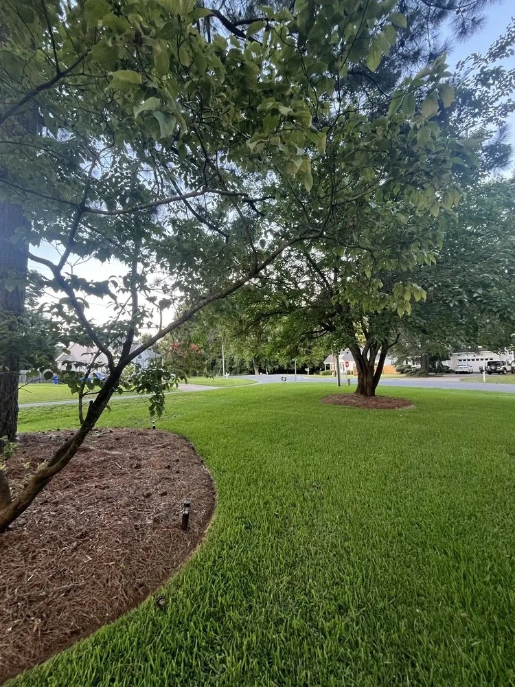 Reliable landscaping services for residential properties in Nashville, NC by Twin Clippers Pro Landscaping