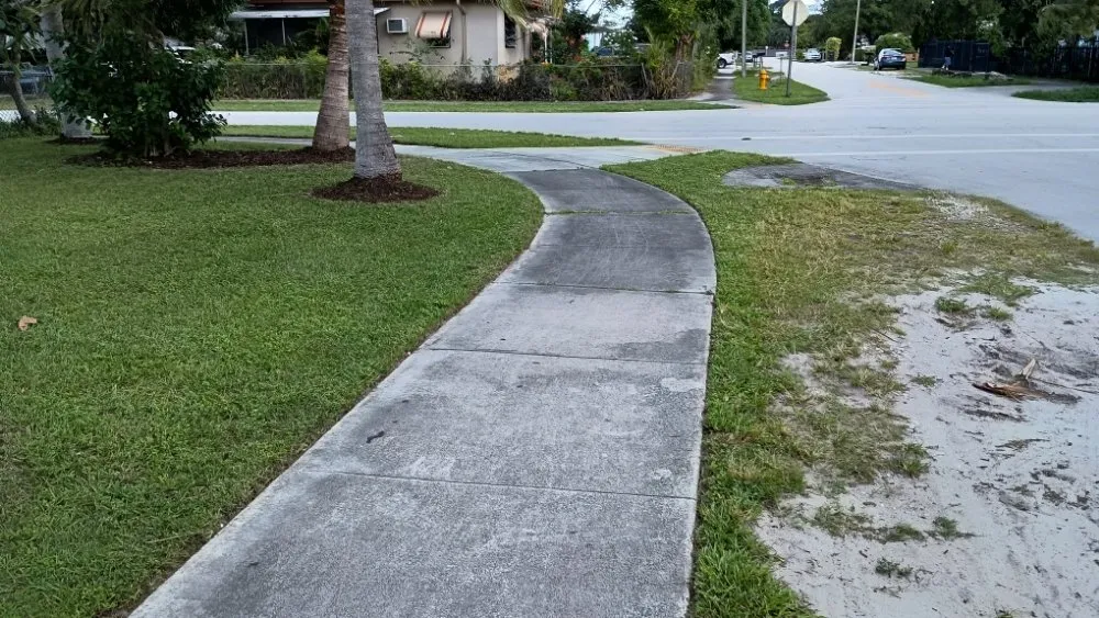 Trusted yard cleanup service in Pinewood, FL - Twin Flame