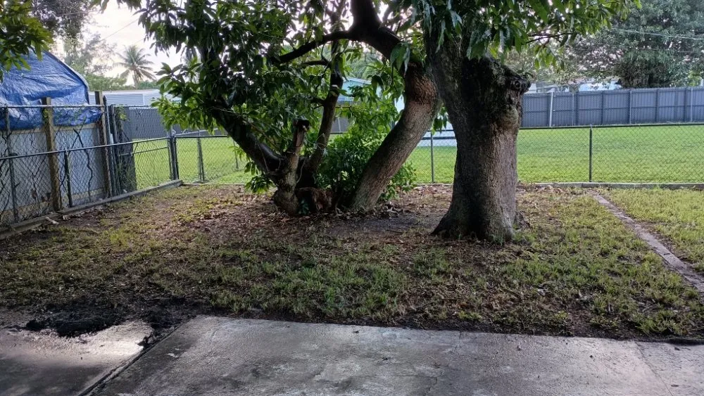 Trusted landscaping services in Pinewood, FL by Twin Flame