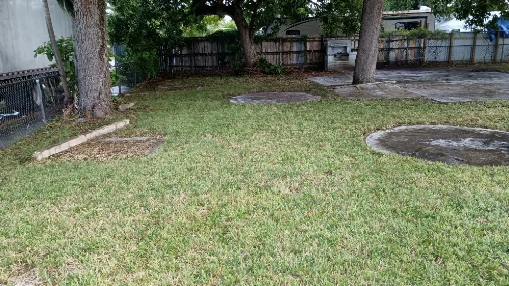 Reliable landscape design for beautiful yards in Pinewood, FL by Twin Flame