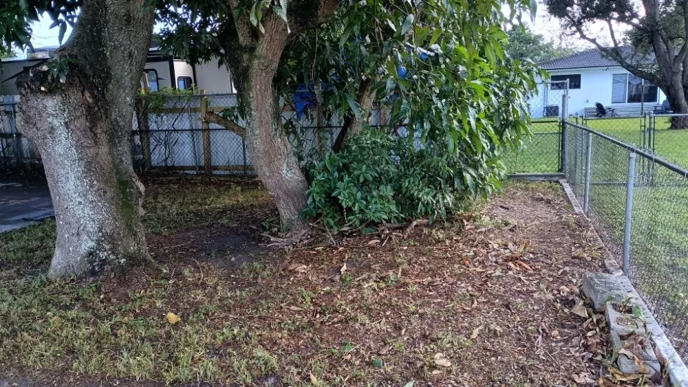 Custom residential landscaping experts serving Pinewood, FL - Twin Flame