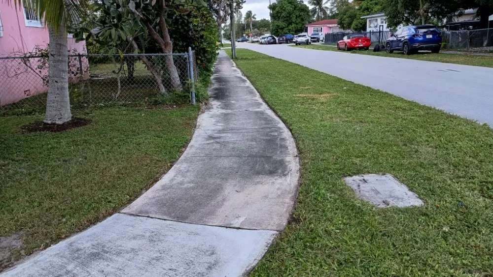 Reliable residential landscaping in Pinewood, FL - Twin Flame