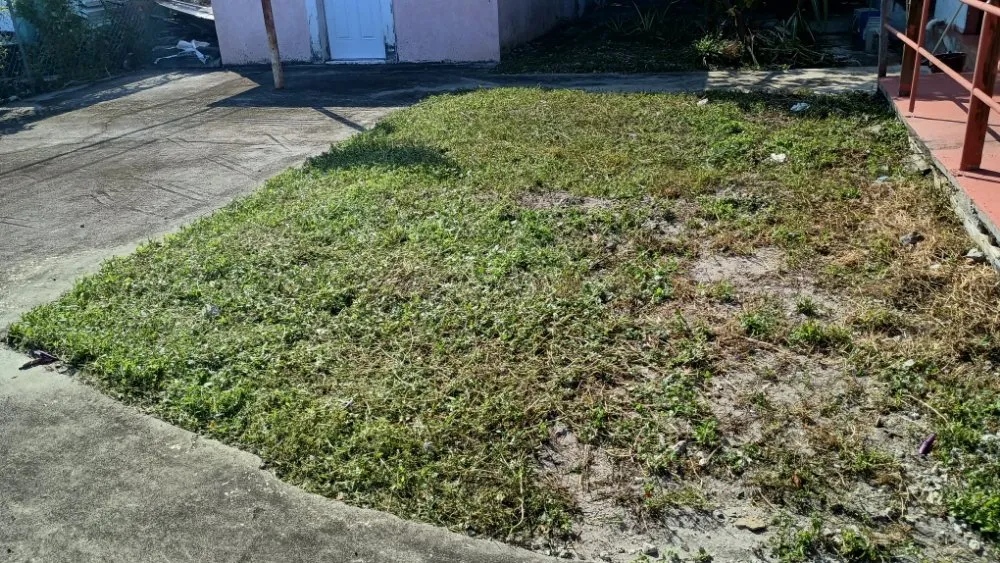 Custom residential landscaping with custom design in Pinewood, FL by Twin Flame