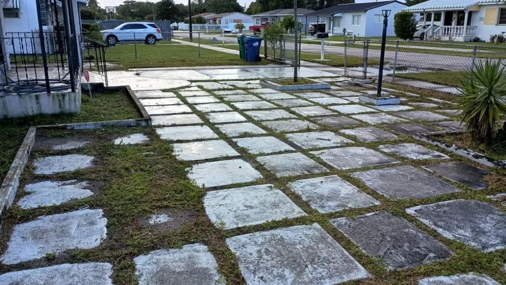 Trusted yard cleanup service for beautiful yards in Pinewood, FL by Twin Flame