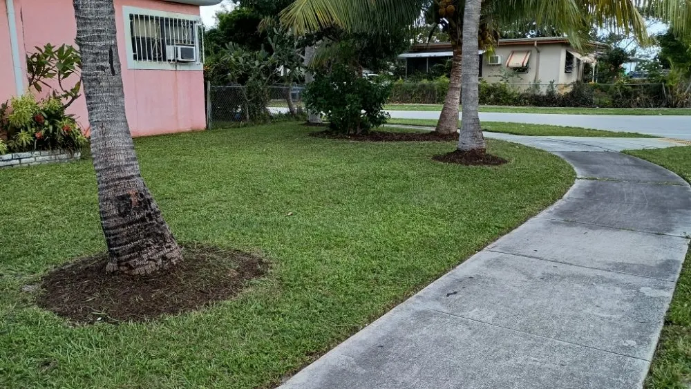 Affordable yard cleanup service in Pinewood, FL - Twin Flame