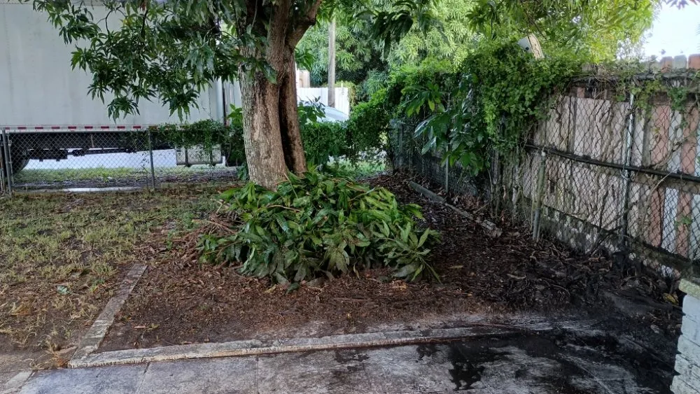 Custom lawn mowing service in Pinewood, FL - Twin Flame