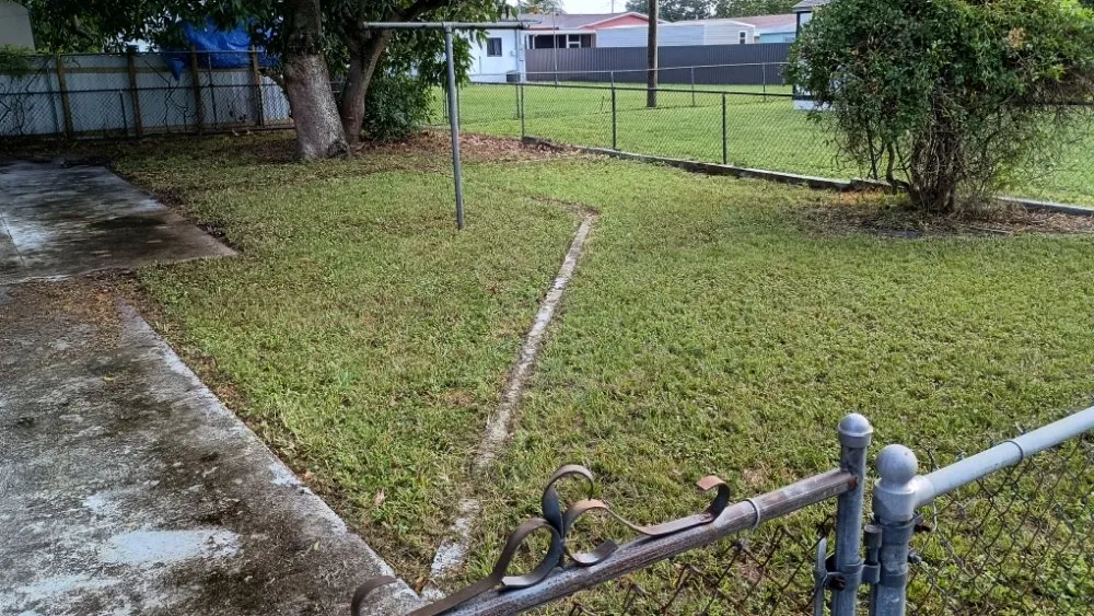 Top-rated landscape design in Pinewood, FL by Twin Flame