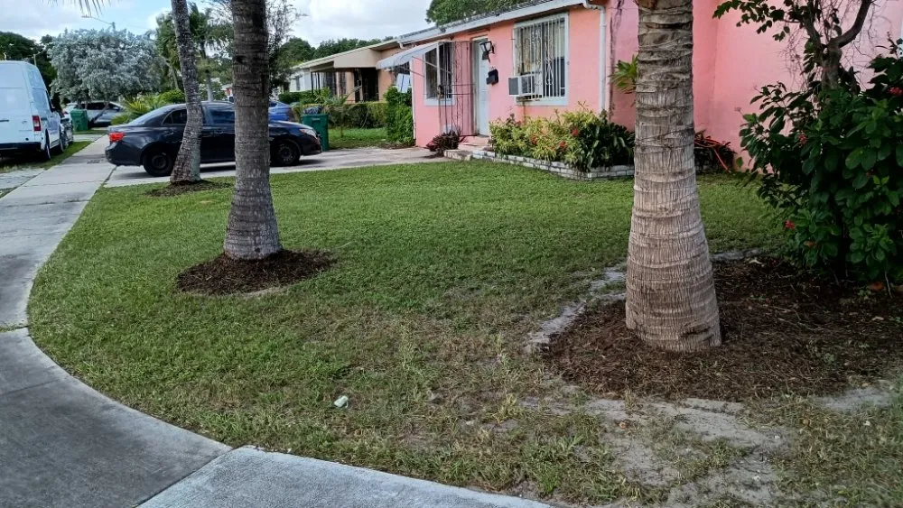 Custom landscaping services experts serving Pinewood, FL - Twin Flame