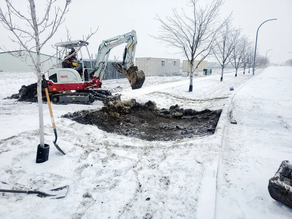 Top-rated lawn mowing service for residential properties in Spokane, WA by Twin Gardens