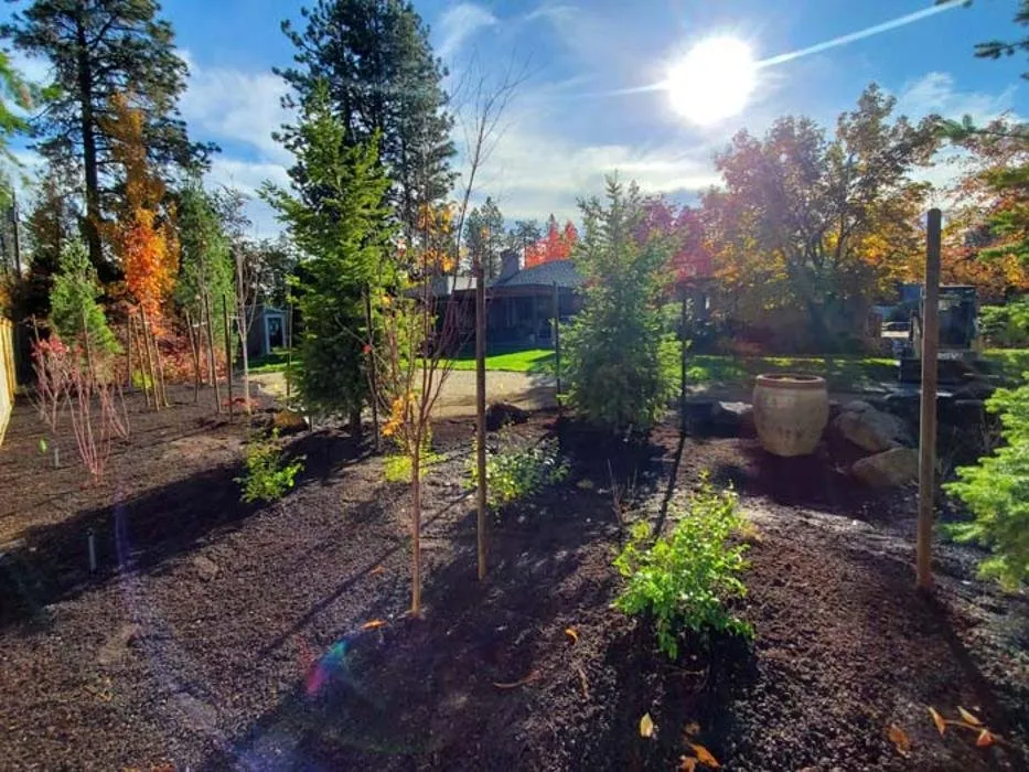 Professional landscape design in Spokane, WA by Twin Gardens