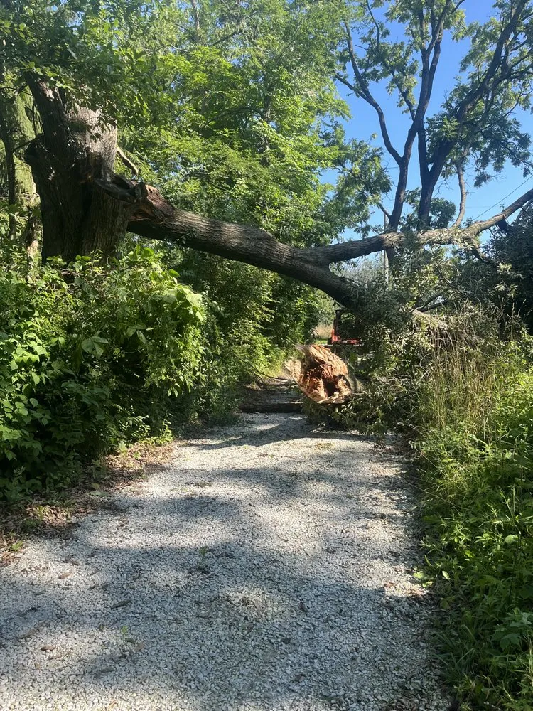 Professional residential landscaping for year-round maintenance in Grant Park, IL by Twin Oaks Construction