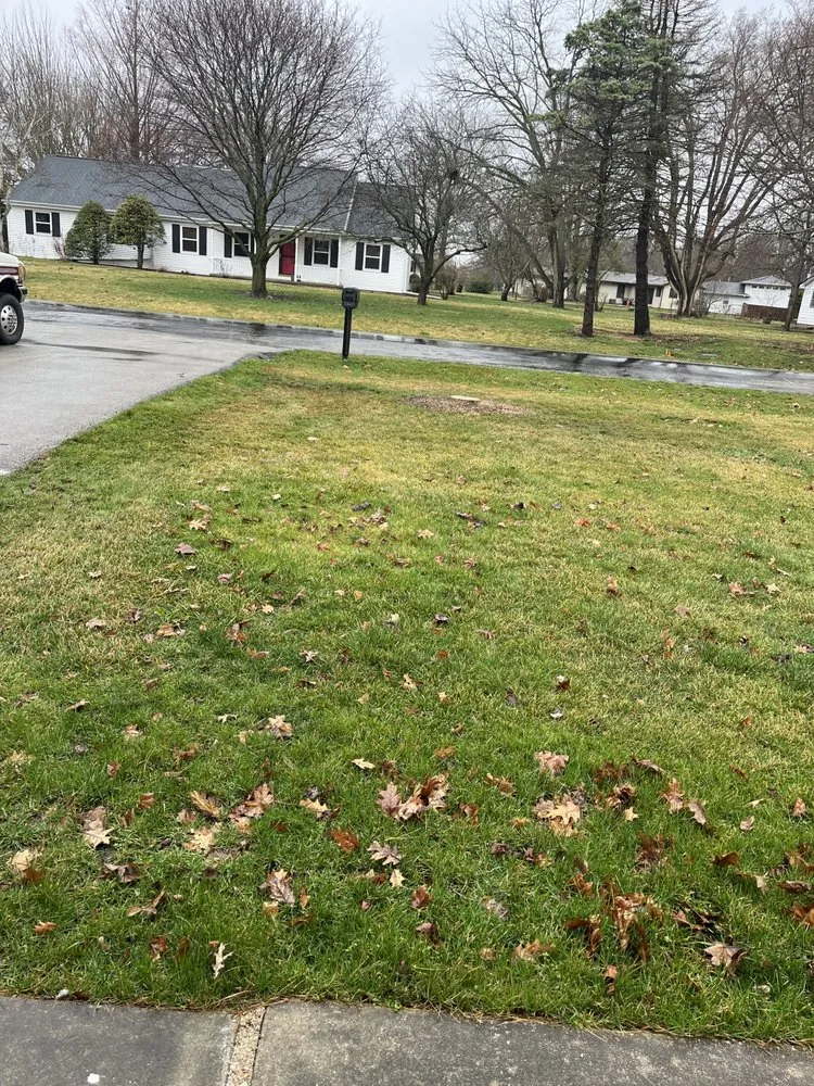 Expert landscape installation in Grant Park, IL by Twin Oaks Construction