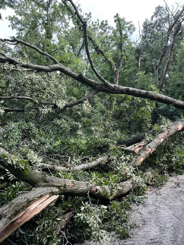 Professional lawn mowing service for residential properties in Grant Park, IL by Twin Oaks Construction