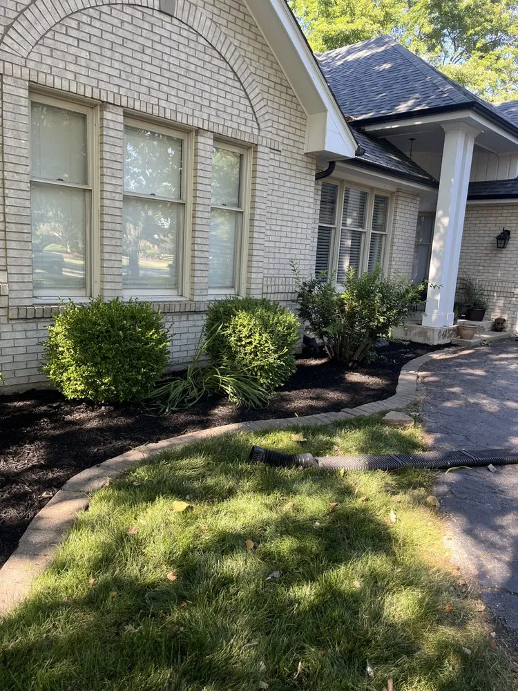 Reliable yard cleanup service in Grant Park, IL - Twin Oaks Construction