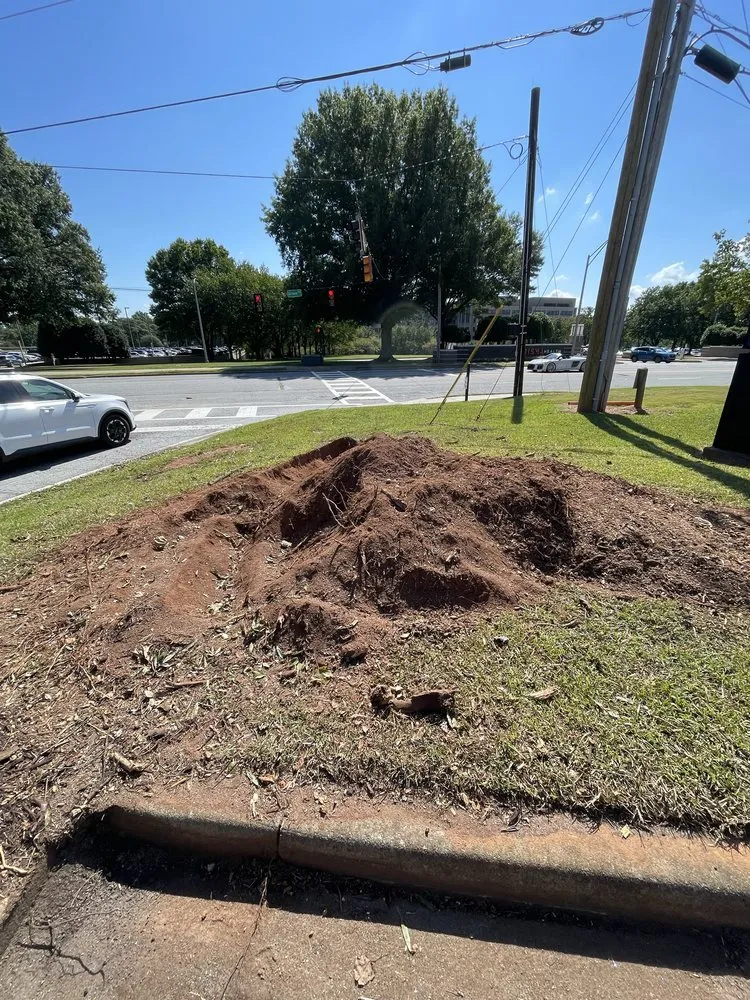 Expert yard cleanup service near you across Greenville, SC - Twin Oaks