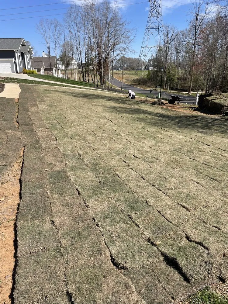 Expert garden landscaping for outdoor upgrades across Greenville, SC - Twin Oaks