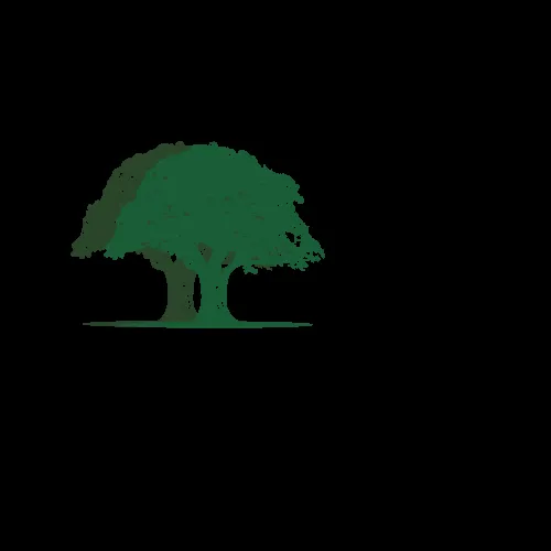 Affordable lawn mowing service in Centerville, GA - Twin Oaks Landscaping