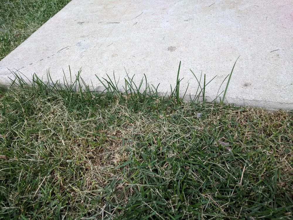 Reliable outdoor landscaping experts serving Oswego, IL - Twin Oaks Landscaping