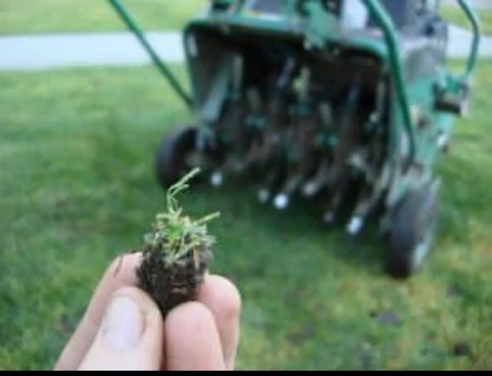 Custom yard maintenance for homes in Gahanna, OH by Twin Oaks Landscaping Services