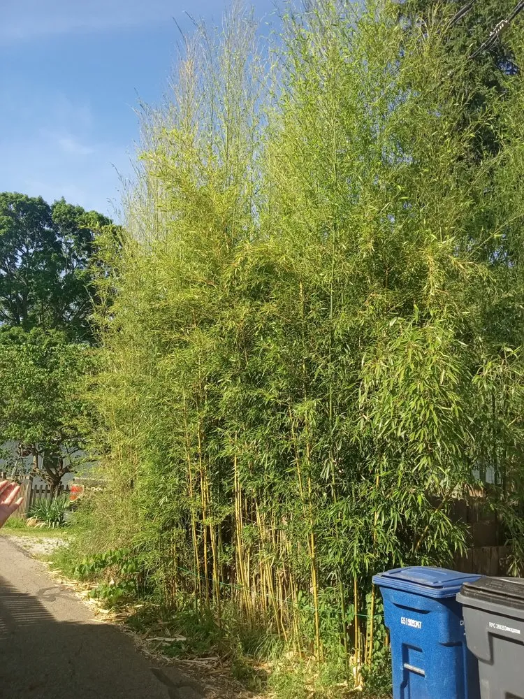 Affordable landscaping services experts serving Gahanna, OH - Twin Oaks Landscaping Services