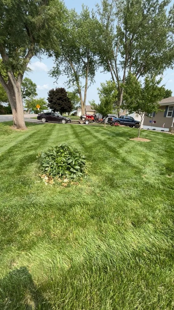 Expert yard cleanup service in Holt, MO - Twin Oaks Lawn and Landscape