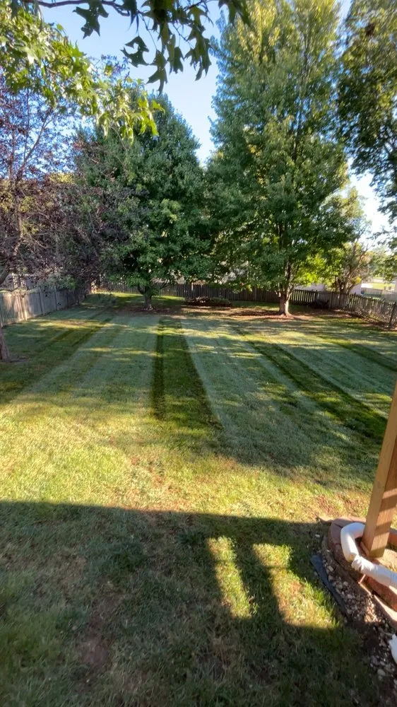 Top-rated landscape installation with custom design across Holt, MO - Twin Oaks Lawn and Landscape