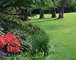 Trusted landscaping services experts serving Abilene, TX - Twin Oaks Lawn Care