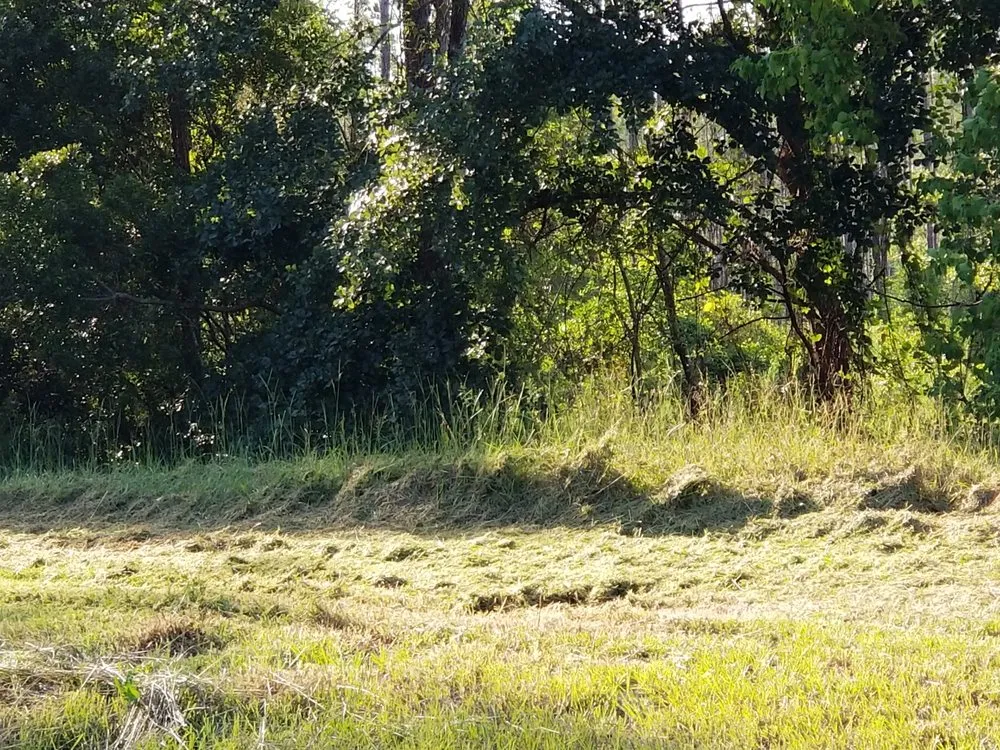 Custom outdoor landscaping in Middleburg, FL by Twin Oaks Lawn Care