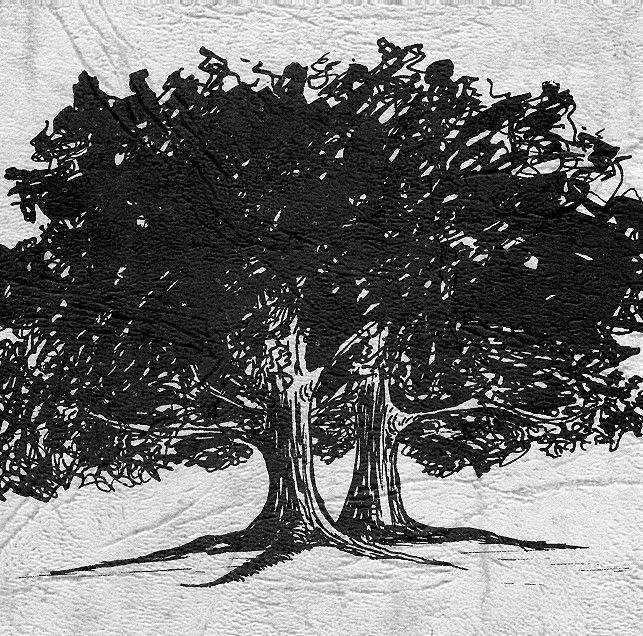 Top-rated lawn care service near you across Neosho, MO - Twin Oaks Lawn Care