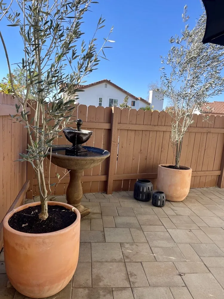 Reliable yard maintenance for beautiful yards in San Marcos, CA by Twin Oaks Ranch Nursery