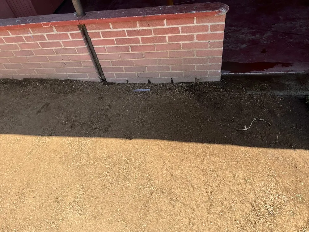 Reliable yard maintenance in Moreno Valley, CA - Twin Palms Landscaping