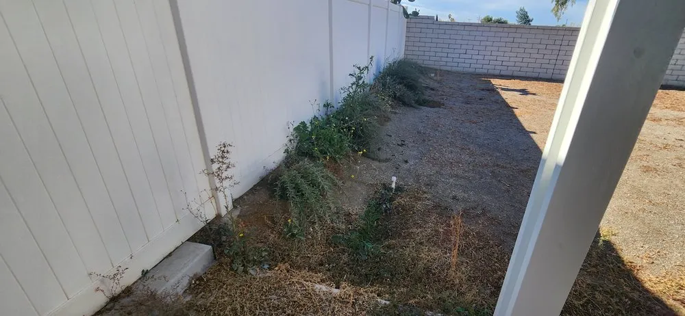 Expert yard cleanup service in Moreno Valley, CA by Twin Palms Landscaping