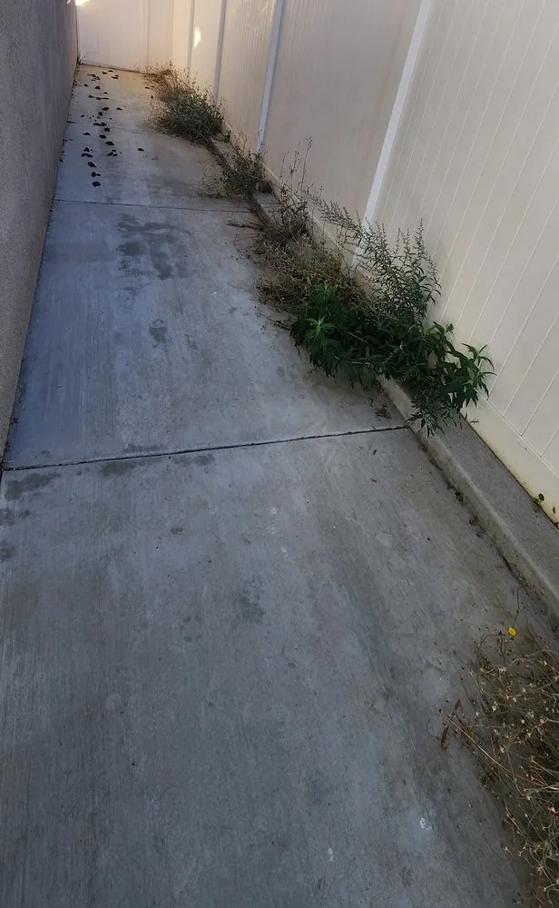 Expert yard maintenance in Moreno Valley, CA by Twin Palms Landscaping