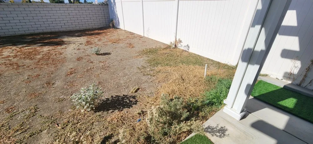 Top-rated landscape design for year-round maintenance across Moreno Valley, CA - Twin Palms Landscaping